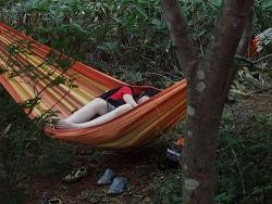 hammock 2 250.JPG